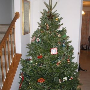 Meet your Posher, Ben